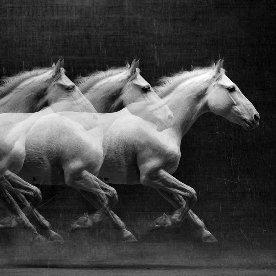 Long exposure photo of a horse running